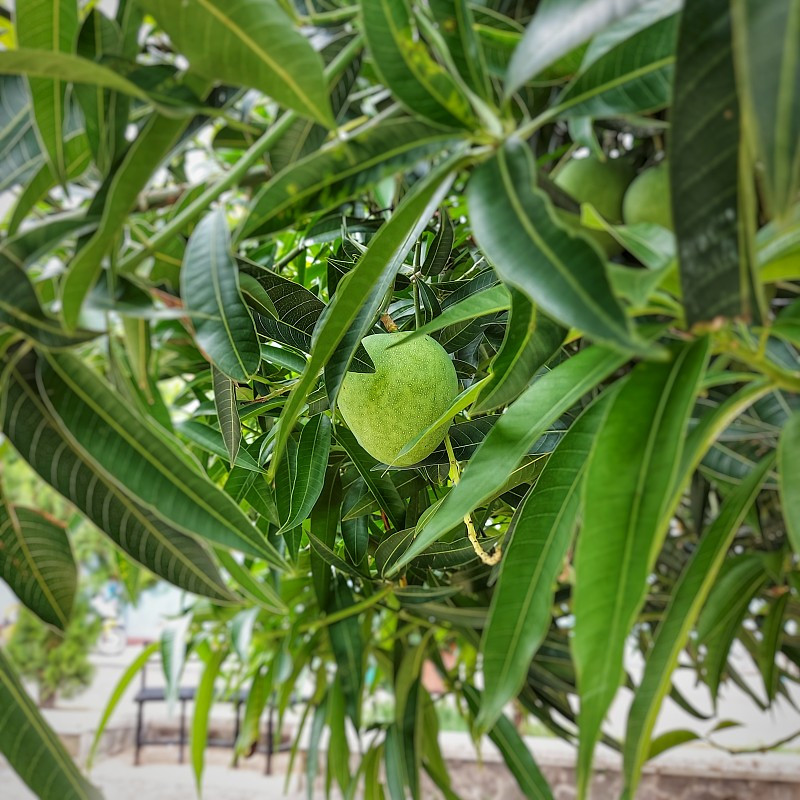 代做企业对公流水